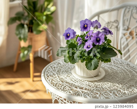 A violet in a pot stands on a carved coffee table in the sunlight in a cozy interior. Flowering house plants. A violet in a pot stands on a carved coffee table in the sunlight in a cozy interior. Flowering house plants. 123984095