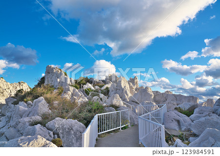【白崎海洋公園】 和歌山県日高郡由良町大引 【白崎海洋公園】 和歌山県日高郡由良町大引 123984591