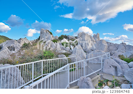 【白崎海洋公園】 和歌山県日高郡由良町大引 123984748