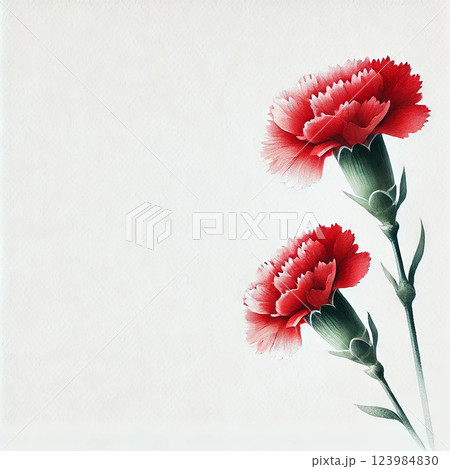水彩タッチのカーネーション - 優雅な美しさ 水彩タッチのカーネーション - 優雅な美しさ 123984830