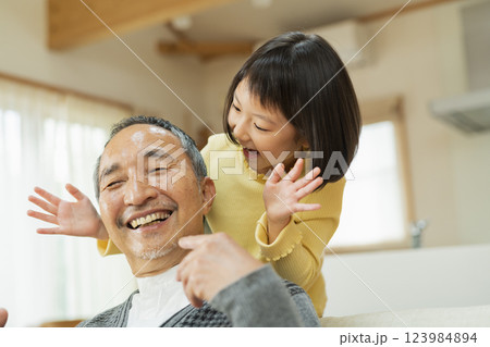祖父と遊ぶ孫 123984894