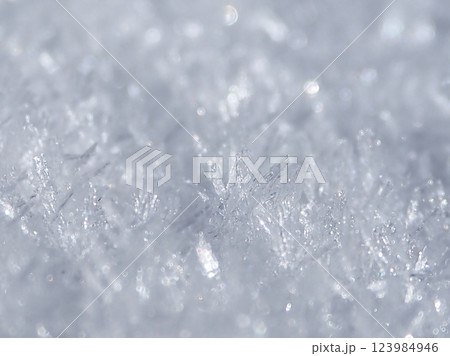 春の雪面の煌めき（20250312074349） 123984946