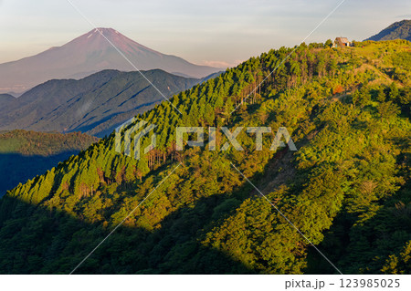 夏の丹沢表尾根・三ノ塔から見る朝の富士山と烏尾山 夏の丹沢表尾根・三ノ塔から見る朝の富士山と烏尾山 123985025