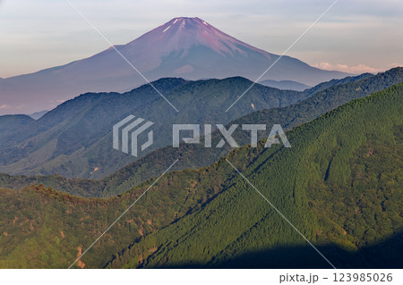 夏の丹沢表尾根・烏尾山から見る朝の富士山 夏の丹沢表尾根・烏尾山から見る朝の富士山 123985026