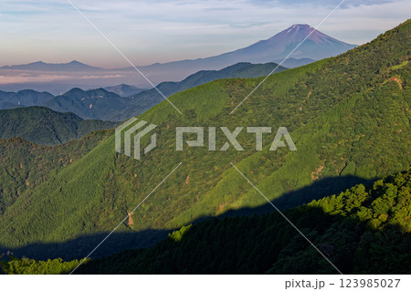 夏の丹沢表尾根から見る大倉尾根と富士山・愛鷹山 夏の丹沢表尾根から見る大倉尾根と富士山・愛鷹山 123985027