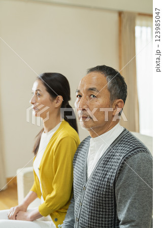 熟年夫婦のポートレート 熟年夫婦のポートレート 123985047