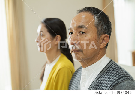 熟年夫婦のポートレート 熟年夫婦のポートレート 123985049
