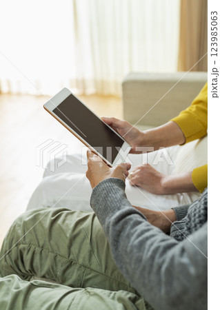 リビングでタブレット端末を使う老夫婦 リビングでタブレット端末を使う老夫婦 123985063