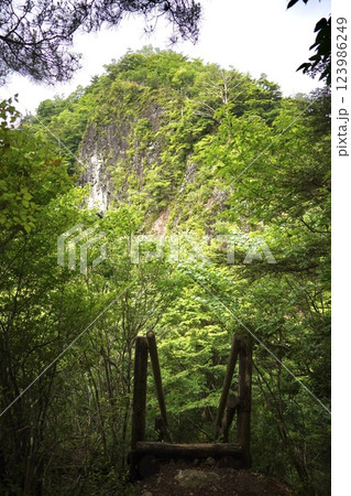 休日 趣味の登山 深緑に包まれた岩山② 休日 趣味の登山 深緑に包まれた岩山② 123986249
