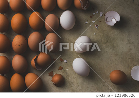 ダークなタマゴ 123986326