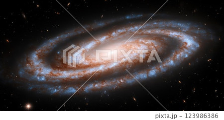 cute kitten on the window 123986386