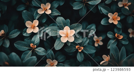 Flowers Bloom Beautifully Amidst Dark Green Leaves, Spring Floral Background 123986593