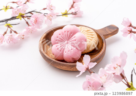桜とお皿に盛られた和菓子 123986897