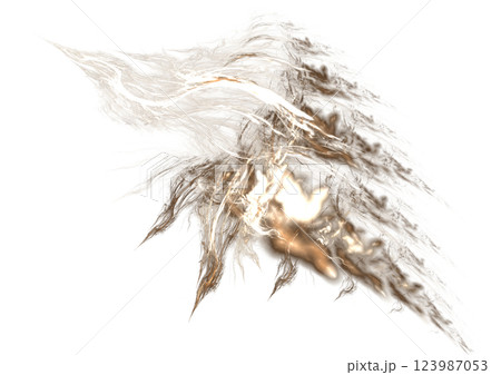 稲妻になった鳥 稲妻になった鳥 123987053
