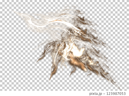 變成閃電的鳥 變成閃電的鳥 123987053