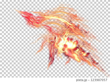 變成閃電的鳥 變成閃電的鳥 123987057