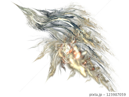 稲妻になった鳥 123987059