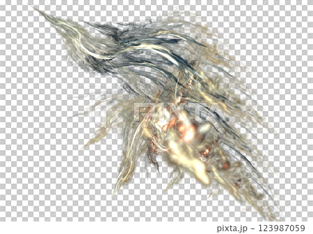 稲妻になった鳥 123987059