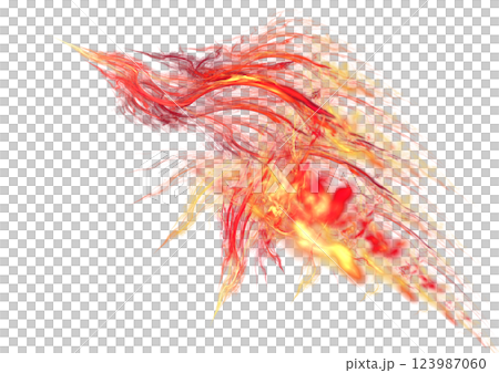 變成閃電的鳥 變成閃電的鳥 123987060