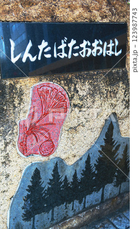 新田端大橋(東京都北区東田端)の風景 新田端大橋(東京都北区東田端)の風景 123987743