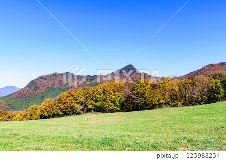 秋 山形天童公園にて 秋 山形天童公園にて 123988234