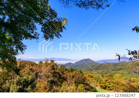 秋　山形天童公園にて 123988247