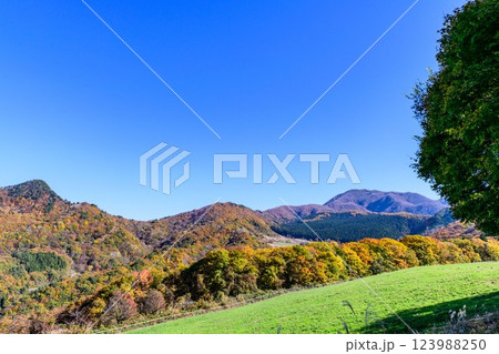 秋 山形天童公園にて 秋 山形天童公園にて 123988250