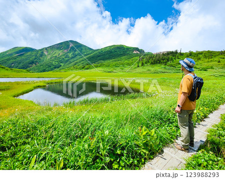夏の火打山・妙高山登山（天狗の庭から火打山を望む） 123988293