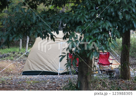 オートキャンプ　杜のテラス　森　能勢 123988305