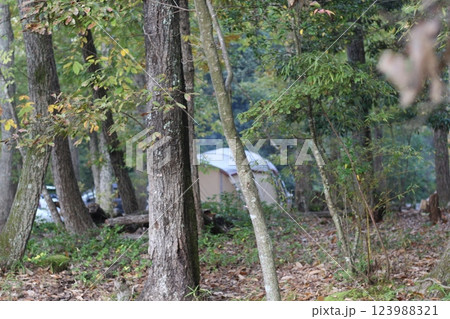 オートキャンプ 杜のテラス 森 能勢 オートキャンプ 杜のテラス 森 能勢 123988321