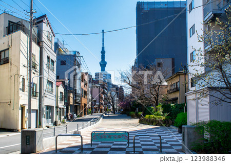 東京都台東区　隅田川から新吉原大門への水上路跡　山谷堀公園 123988346