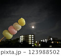 満月の夜にお月見　お団子と月のコラボ 123988502