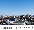 快晴の中に大都市東京のシンボルのスカイツリーがひっよこりと 123988503