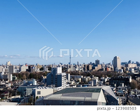 快晴の中に大都市東京のシンボルのスカイツリーがひっよこりと 123988503