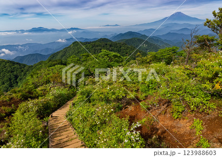 夏の丹沢・塔ノ岳山頂直下から見る大倉尾根と富士山 夏の丹沢・塔ノ岳山頂直下から見る大倉尾根と富士山 123988603