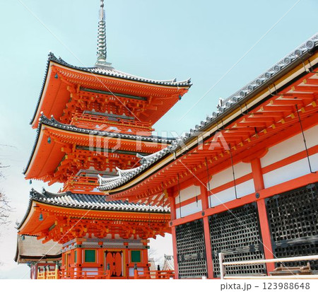 清水寺 三重塔 清水寺 三重塔 123988648