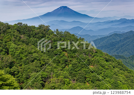夏の丹沢・塔ノ岳山頂直下から見る富士山 123988754