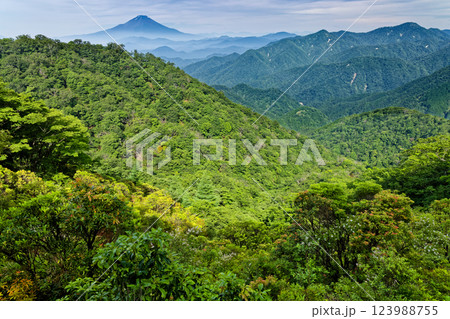 夏の丹沢・塔ノ岳山頂直下から見る富士山 123988755
