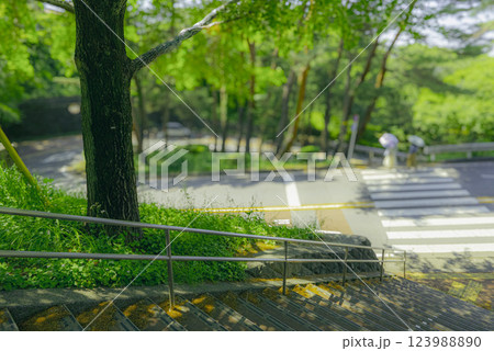 アニメ映画のモデル地とされる聖蹟桜ヶ丘のいろは坂と階段と日傘を差して歩く女性達の写真 123988890