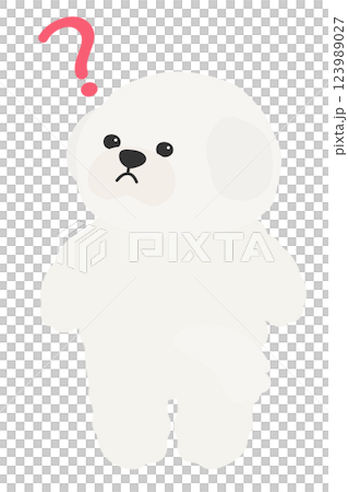 A fluffy white dog looking back with a question mark on its face: Bichon Frise, Maltese, Toy Poodle A fluffy white dog looking back with a question mark on its face: Bichon Frise, Maltese, Toy Poodle 123989027