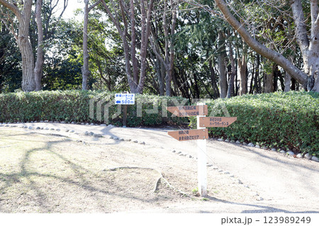 石ケ谷公園の梅園（兵庫県 明石市） 123989249