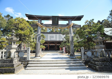 松陰神社2025年② 123989970