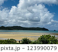 南国奄美の海辺　癒しのひと時 123990079