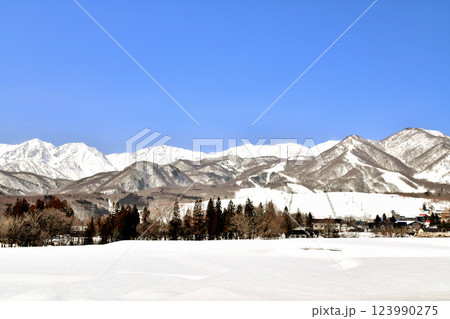 白馬つがいけマウンテンリゾート周辺を望む(長野県小谷村)【2025.3】 123990275