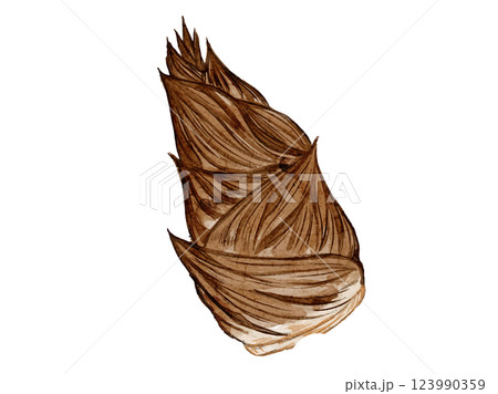水彩風に描いた春野菜の新鮮な筍たけのこのベクターイラスト素材 123990359