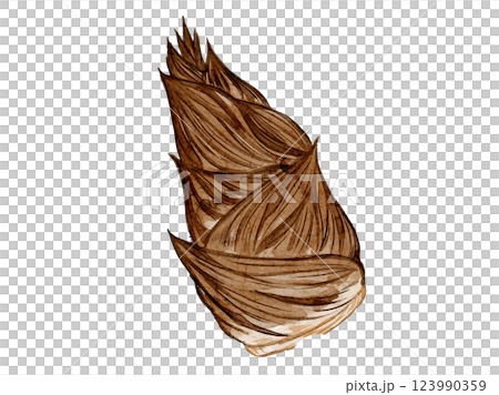 水彩風に描いた春野菜の新鮮な筍たけのこのベクターイラスト素材 123990359