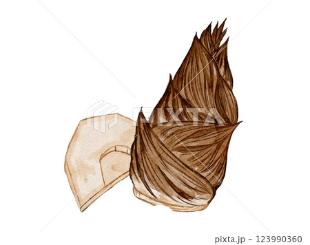 水彩風に描いた春野菜の新鮮な筍たけのこのベクターイラスト素材 123990360