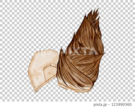 新鮮竹筍、春季蔬菜的向量插圖，以水彩風格繪製 123990360