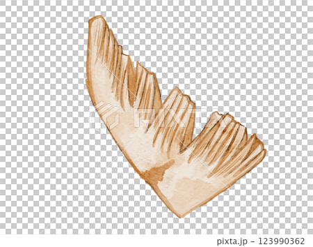 水彩風に描いた春野菜の新鮮な筍たけのこのベクターイラスト素材 123990362