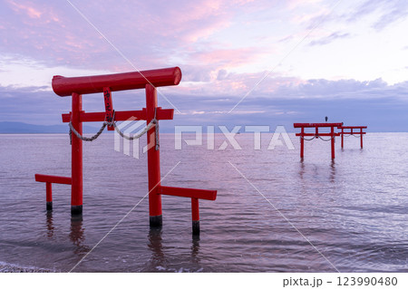 佐賀県太良町　朝の有明海の浅瀬に立つ秋の海中鳥居 123990480